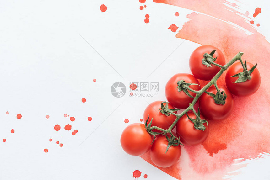 白色表面的美味樱桃西红柿树枝上面有红图片