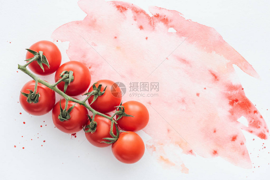 白色表面的成熟番茄树枝顶部图片