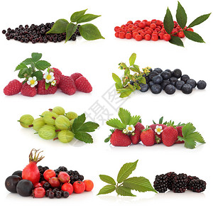 覆盆子草莓醋栗蓝莓黑莓接骨木罗文玫瑰果和黑刺李背景图片