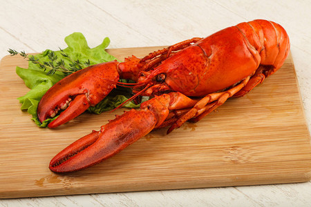 美味烹饪煮熟的龙虾做背景图片