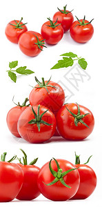 西红柿的集合带有白色上孤立的光影图片