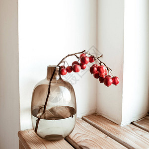 玻璃花瓶中的多彩红色果树枝最小的图片