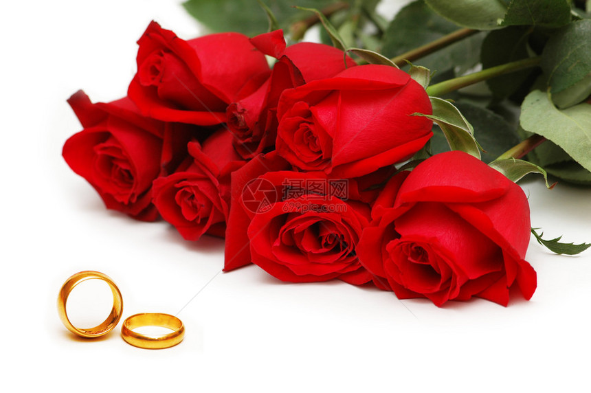 红玫瑰和孤立在白色背景上的戒指图片