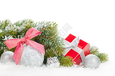 圣诞节彩色装饰礼品盒和雪卷树白背景与图片
