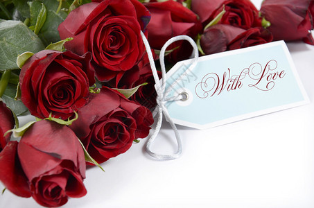 情人节快乐红玫瑰花束在白色背景和爱的图片