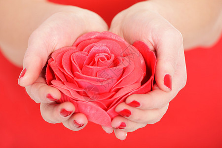 一朵红玫瑰插在女手中红图片