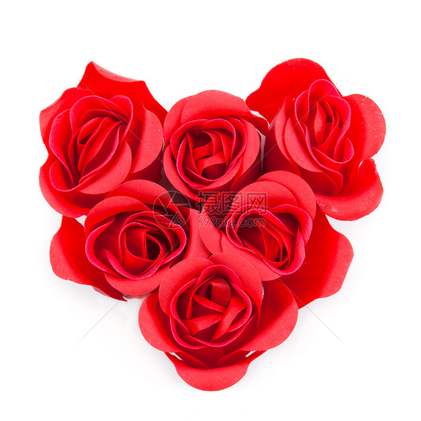 红玫瑰以心脏形式成孤立在白色背景图片