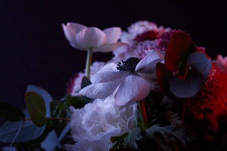 各种花束的花束背景图片