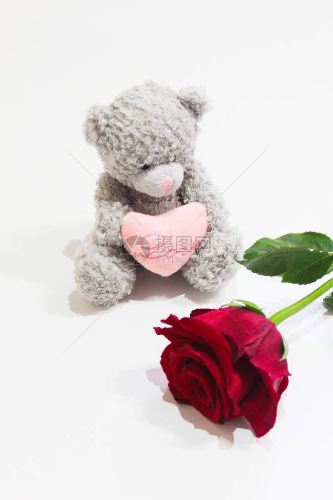在圣情人节那天的白色背景上一只熊一朵玫瑰和一图片