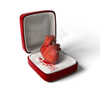 解剖心脏作为爱心礼物背景图片