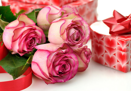粉红玫瑰和礼品盒图片