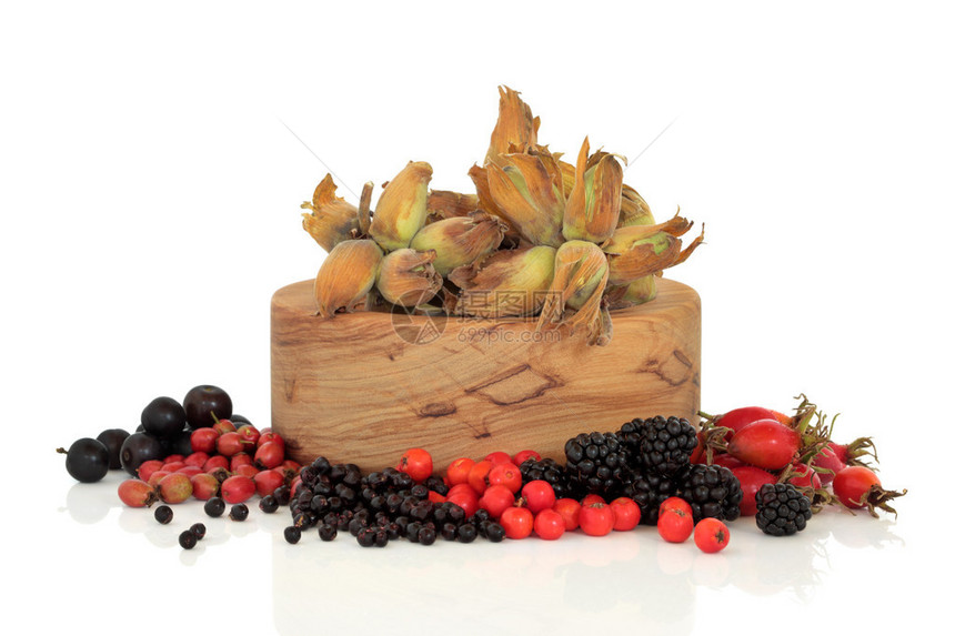 玫瑰果接骨木山楂黑莓罗文和黑莓的秋天野生食物图片