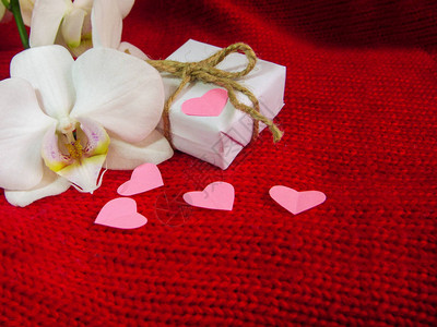 红色背景的白兰花和礼物盒情人节背图片