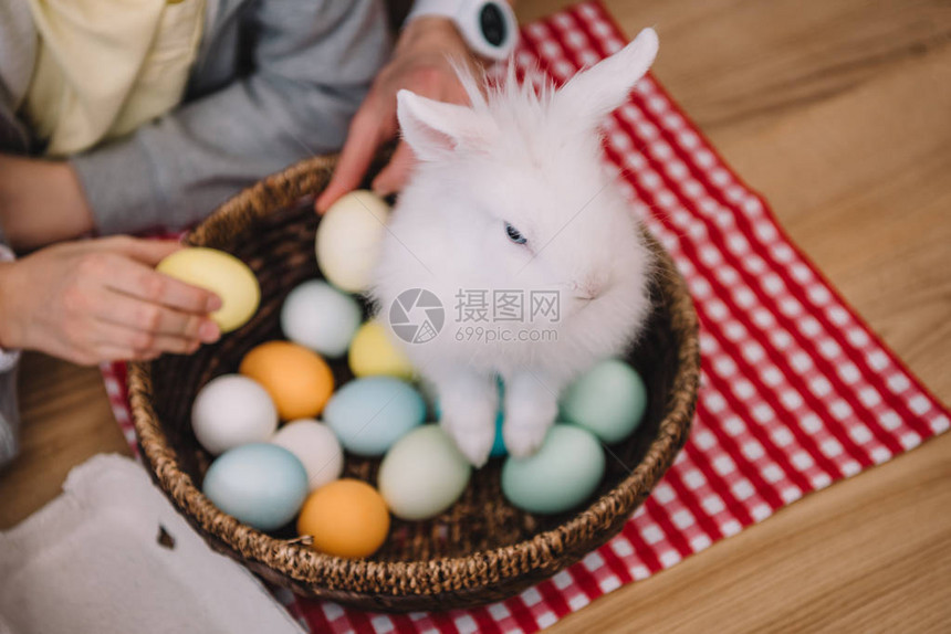 复活节兔子坐在篮子里拿着鸡蛋图片