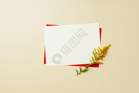 用红白空卡和美丽的蜜蜂边花椰安排图片