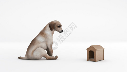 木狗的房子概念背景图片