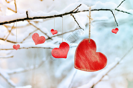 冬天的雪树枝上有红心图片