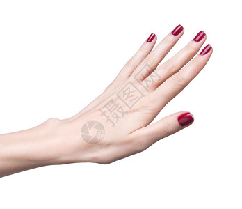 手握着女专业的红指甲美图片