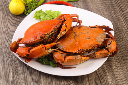 鲜热的水煮螃蟹美味的开胃菜图片