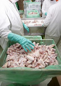 停止食品工业家禽图片