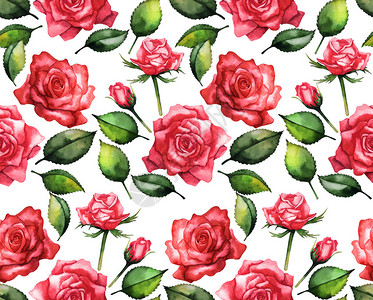 水彩红玫瑰无缝花粉形图片