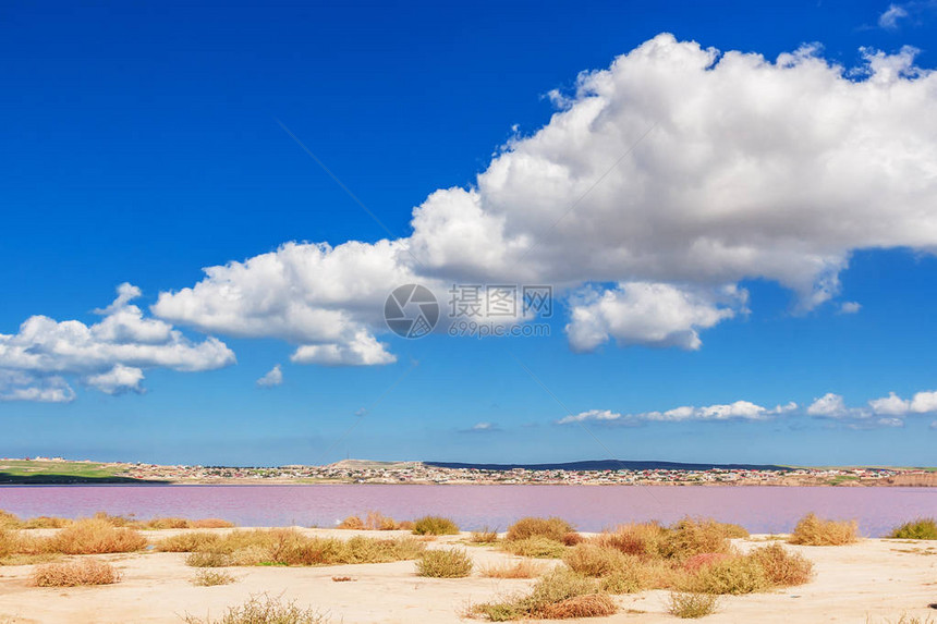 阿塞拜疆的粉红色盐湖Masazirgol世界上八个粉图片