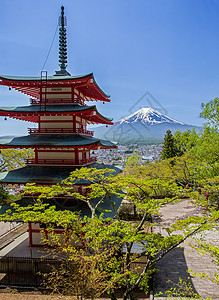 春季的日本Chureito塔和富士山图片