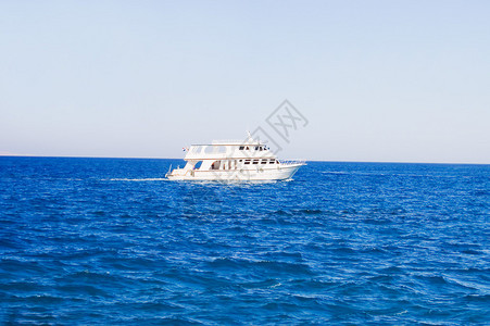 海中的白色游艇图片