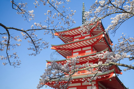 在美丽的春季日本红塔和图片