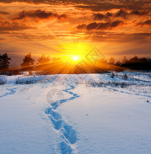 日落背景下雪地上有小径的场景图片