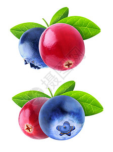 两幅红莓和蓝莓水果的图像图片