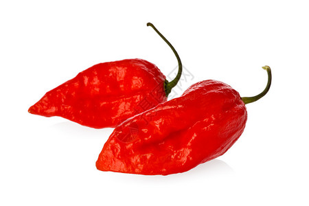 两个鬼胡椒被称为世界上最热辣的胡椒之一在白色背景图片