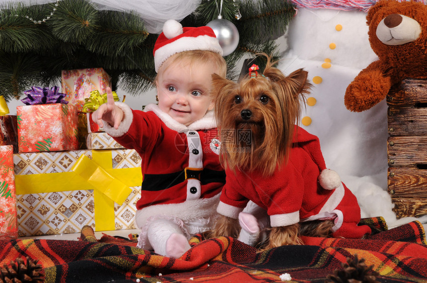 圣诞树附近带着小狗穿着圣诞老人西装图片