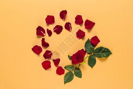 花瓣和红玫瑰带树叶环状圆框图片