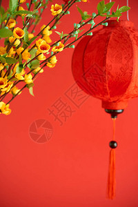 红色背景上盛开的杏花纸灯笼和树枝图片
