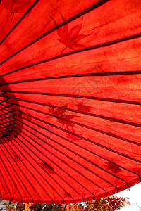 日本传统红叶伞图片