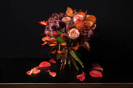 玫瑰郁金香干叶和草药的秋天构成图片