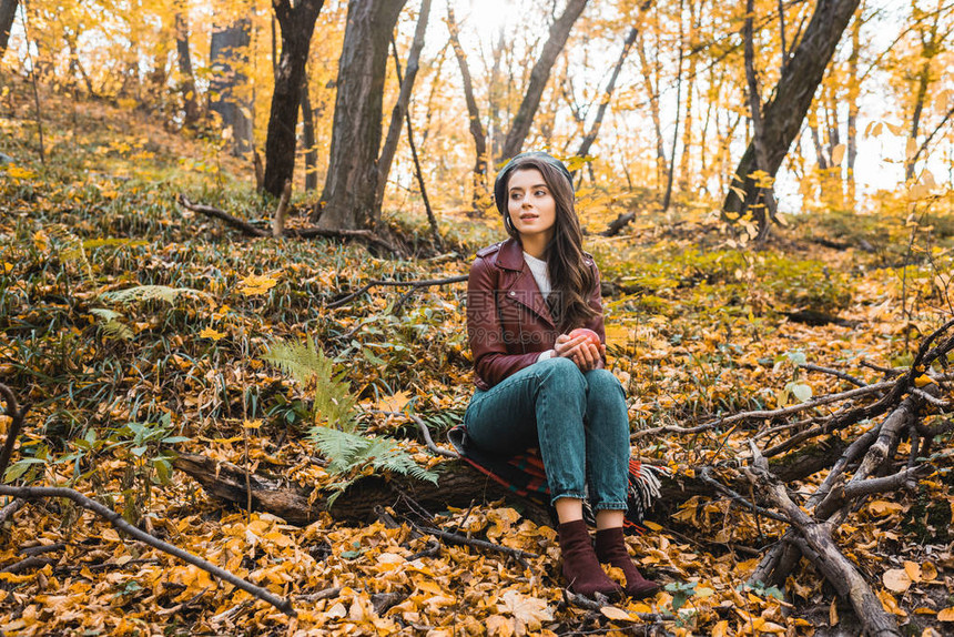 穿着皮夹克坐在毯子上在秋季森林里拿着红苹果的时尚女孩图片