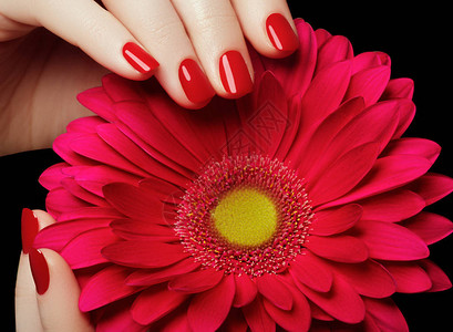 院纤巧的双手拿着粉红色的花朵特写美甲漂亮的修剪指甲图片
