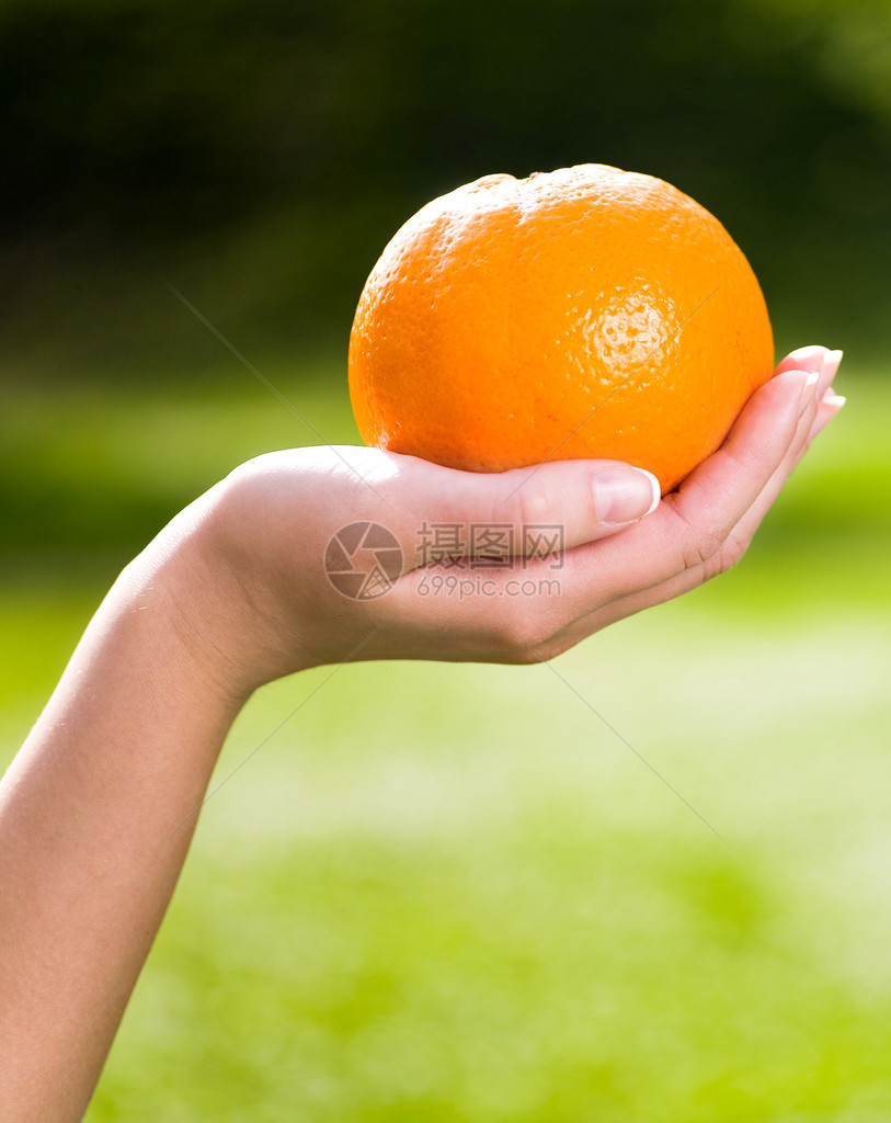 手上的橙子图片
