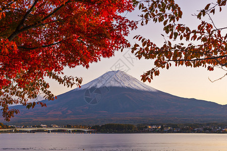 富士山与秋天图片