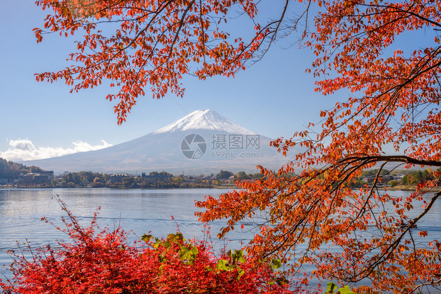 日本富士山秋天在川图片