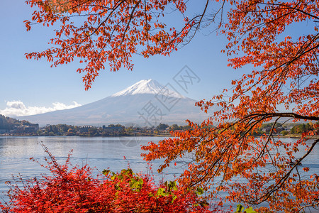 日本富士山秋天在川图片