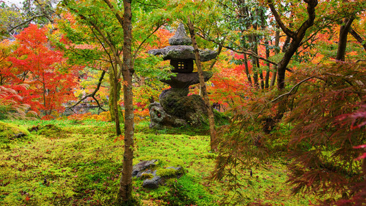 Eikando寺庙日本京都秋叶高清图片