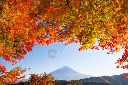 日本的富士山景观图片