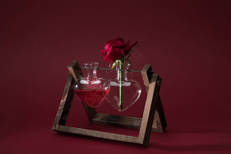 红玫瑰红玫瑰在心脏形状的花瓶和花瓶图片
