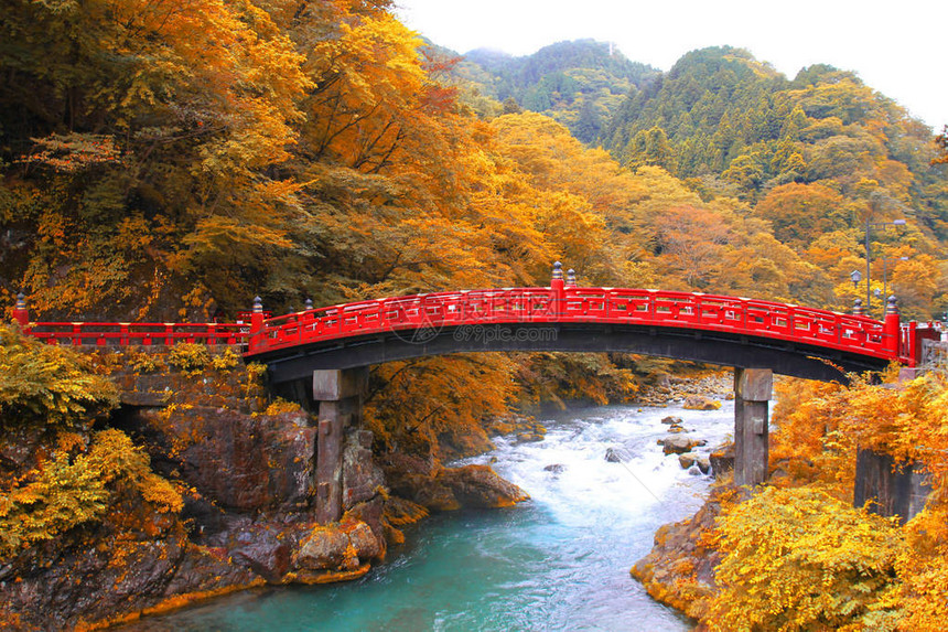 在秋天季节日光日本的新京桥图片