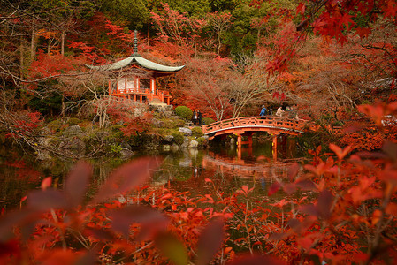 京都醍醐寺的日本建筑与秋景图片