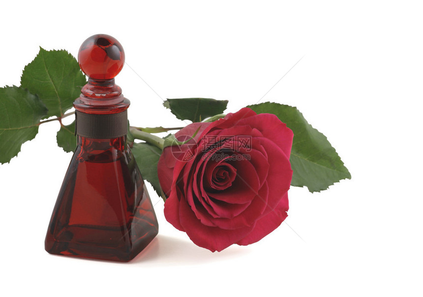 一朵红玫瑰躺在白色背景中一个迷人的红色玻璃图片