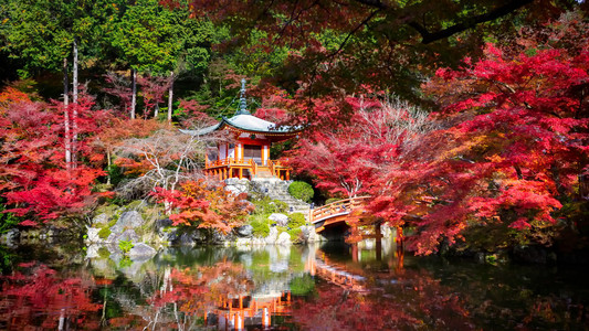 醍醐寺日本京都图片